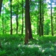 Christopher Burgon Wellbeing Guide
